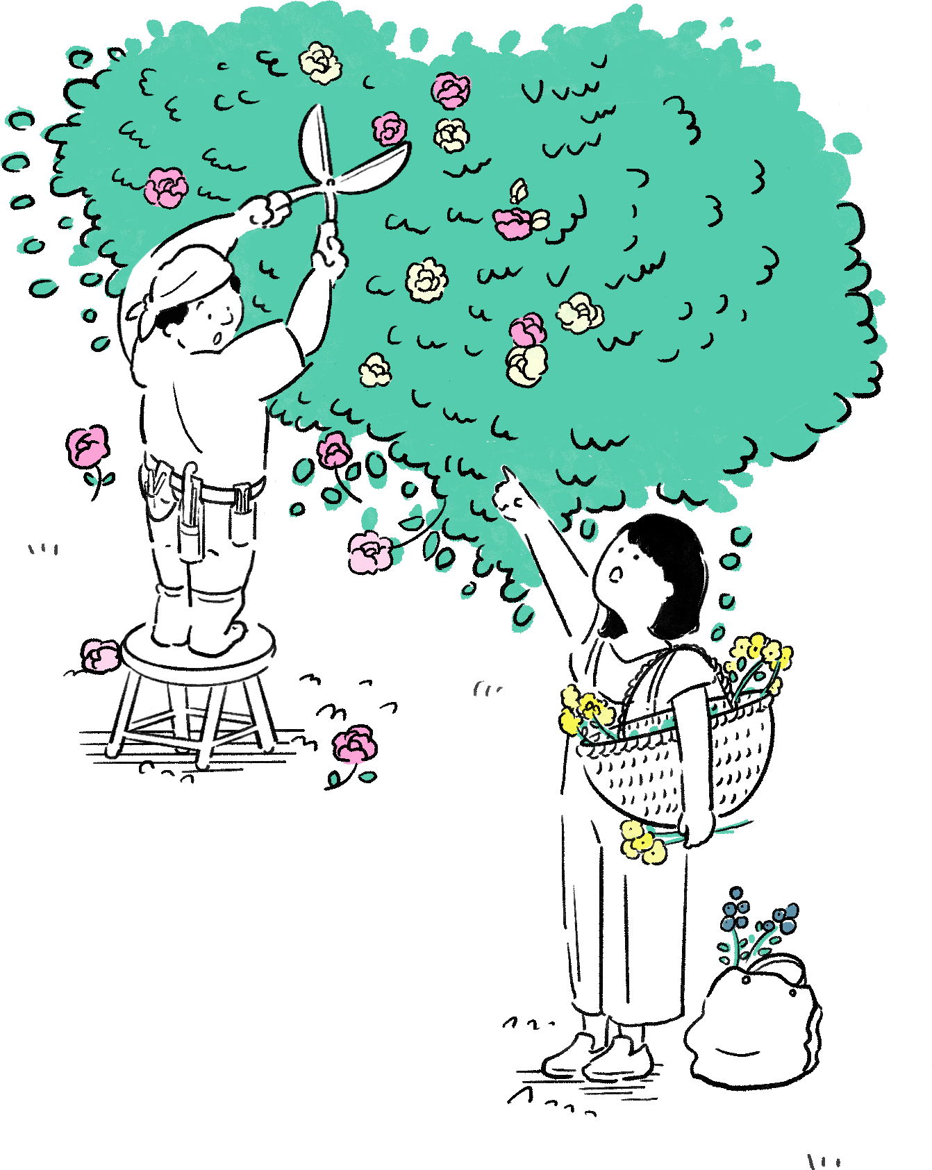 花蒼枯とは